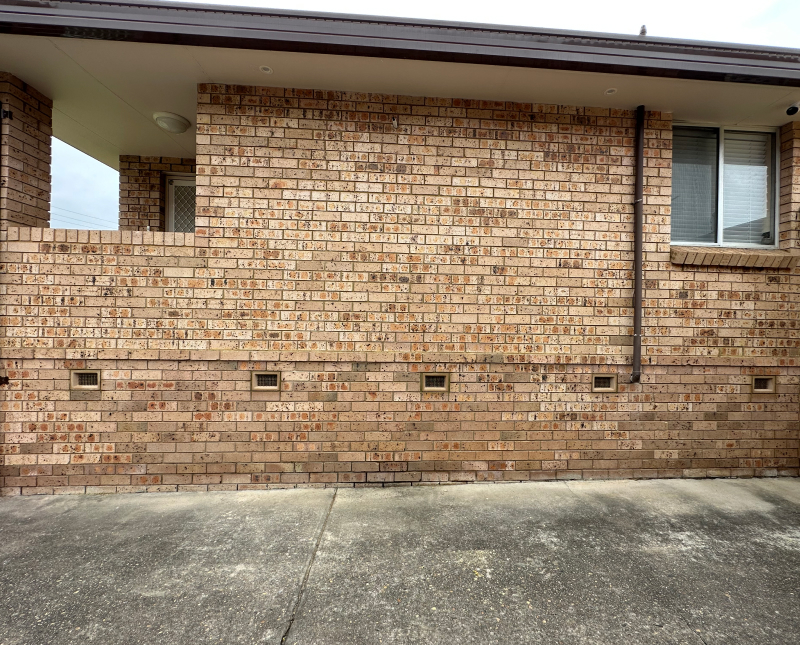 Rising Damp Repair